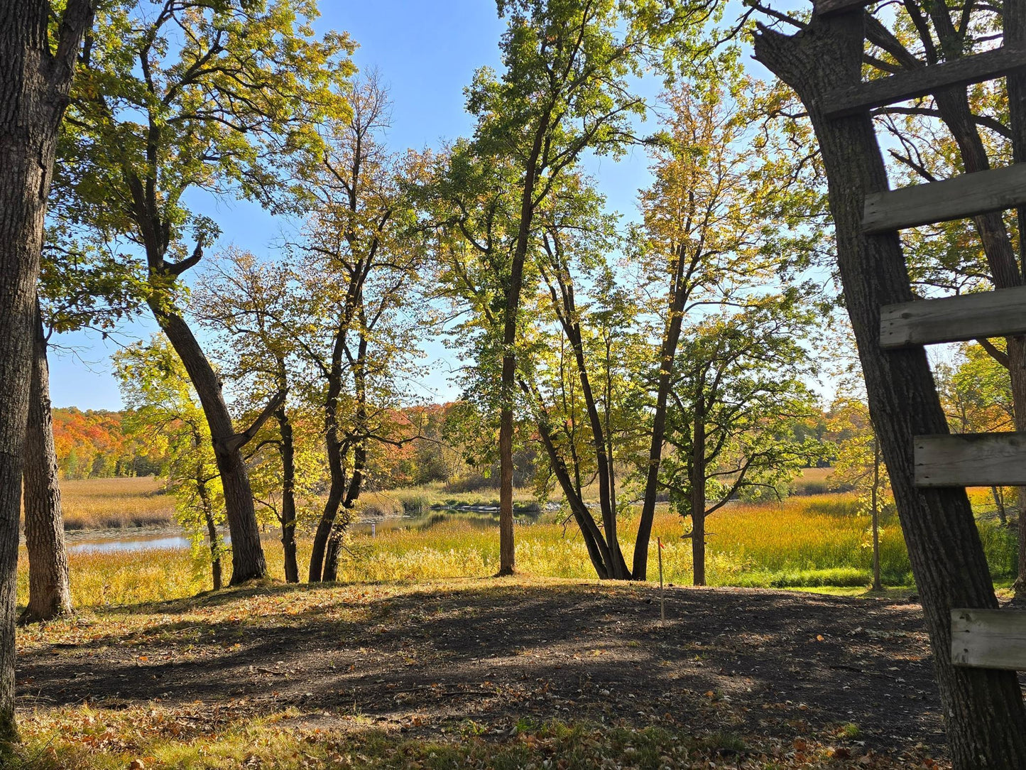 Tract L Blybergs Lane , Pelican Rapids, MN 56572