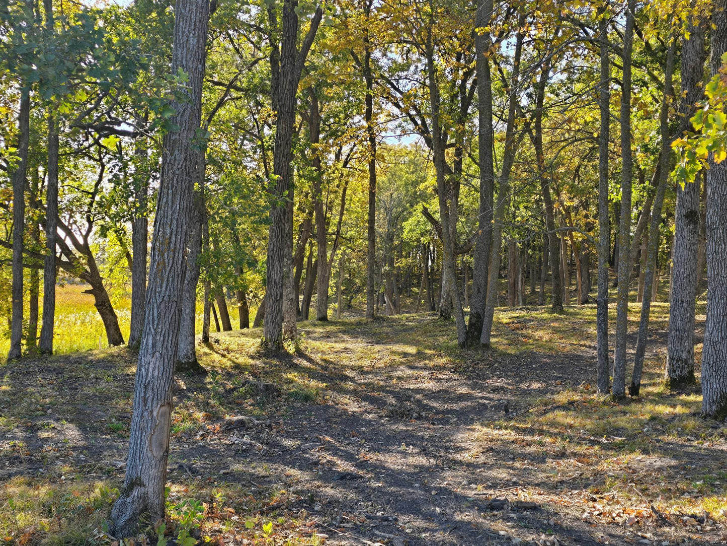 Tract J Blybergs Lane , Pelican Rapids, MN 56572