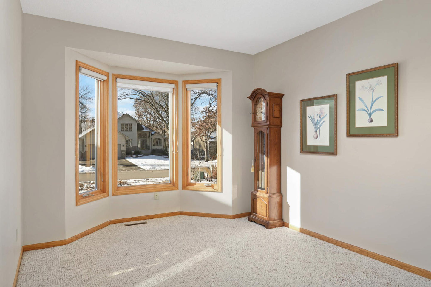 10422 Hidden Oaks Lane, Champlin, MN 55316