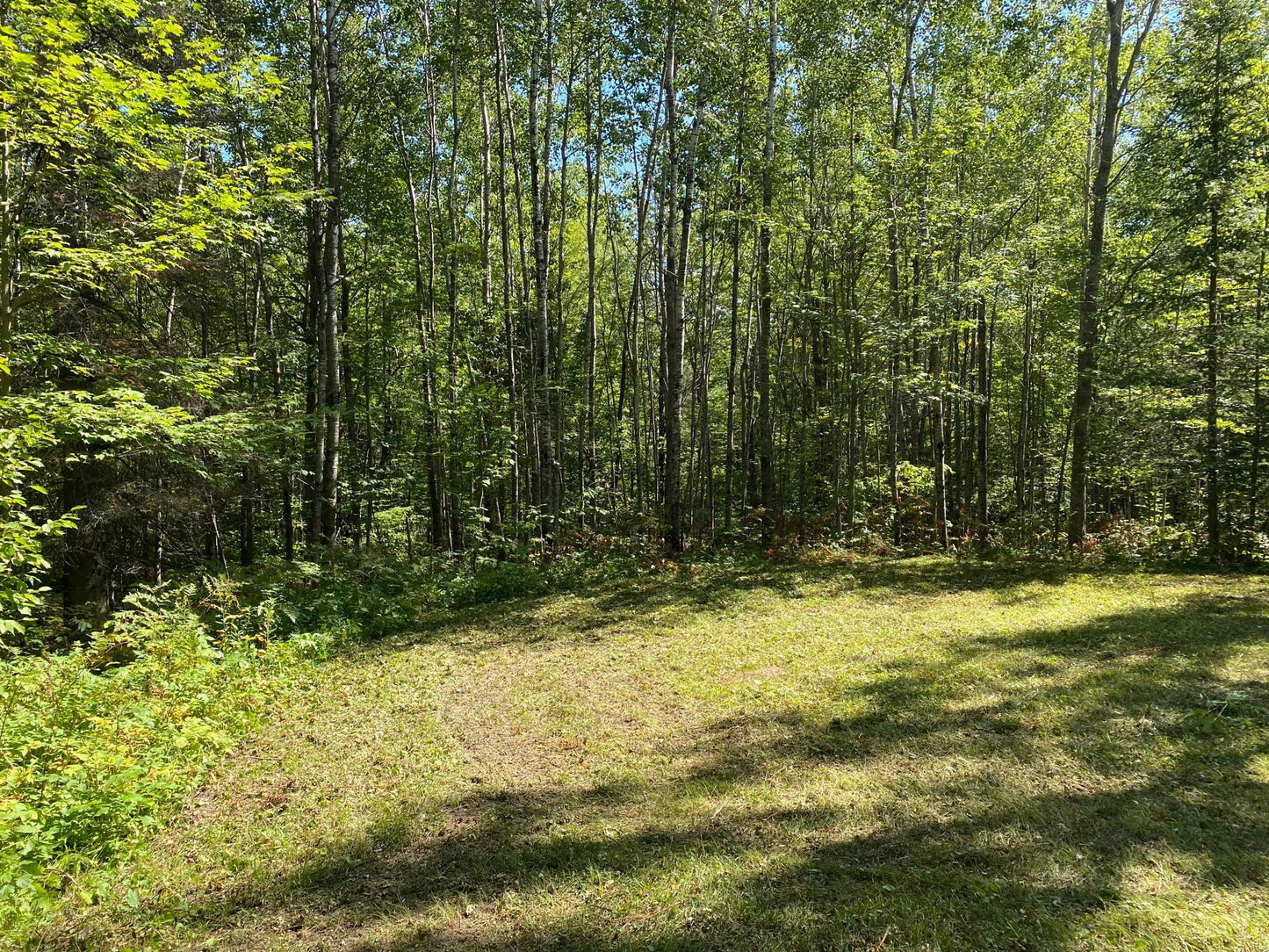 TBD Buck Dr. , Bovey, MN 55709