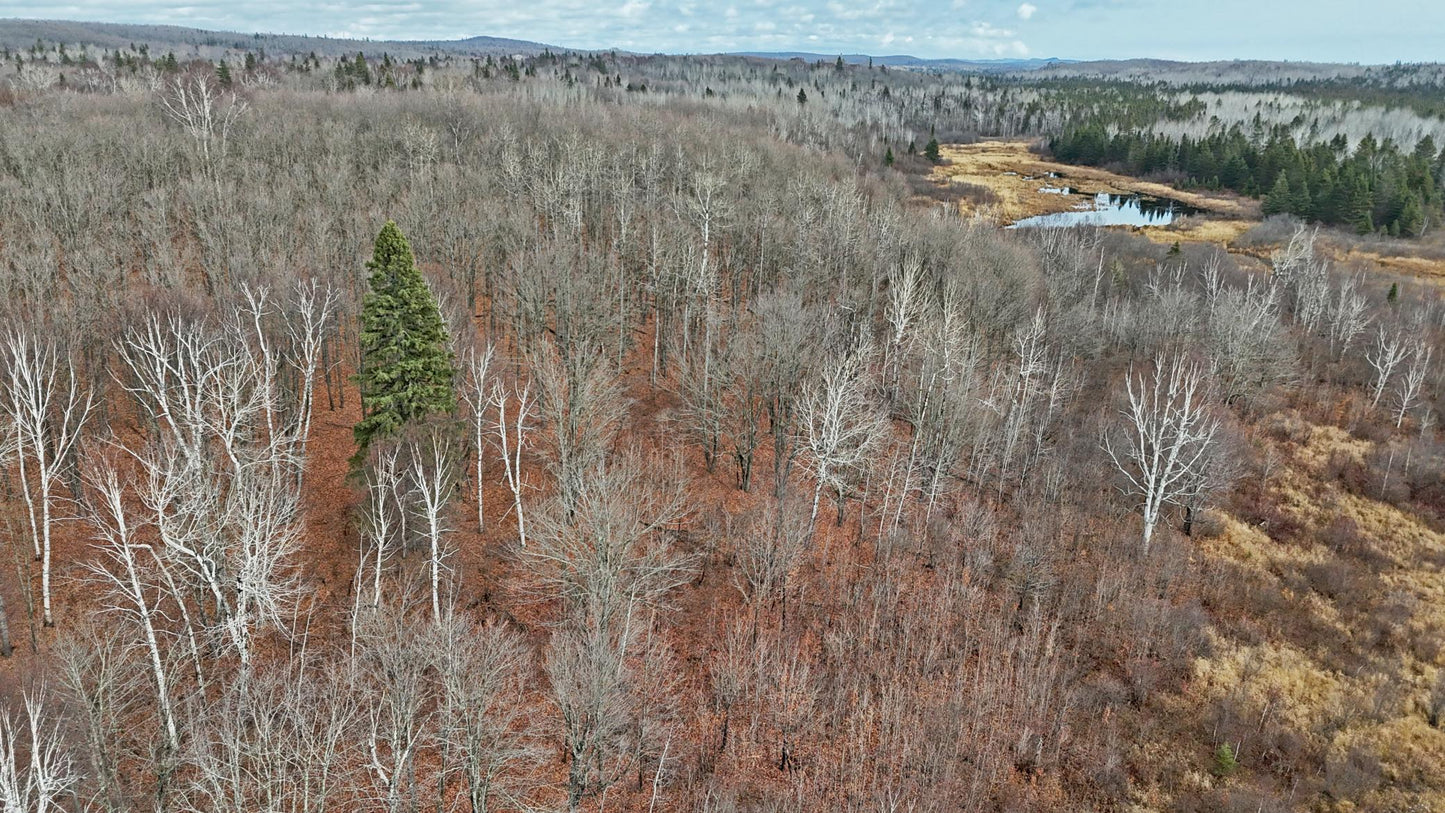 TBD Zekes Road , Schroeder Twp, MN 55613