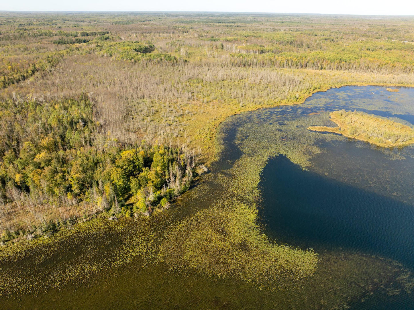 TBD Cedar Point Rd , Marcell, MN 56657