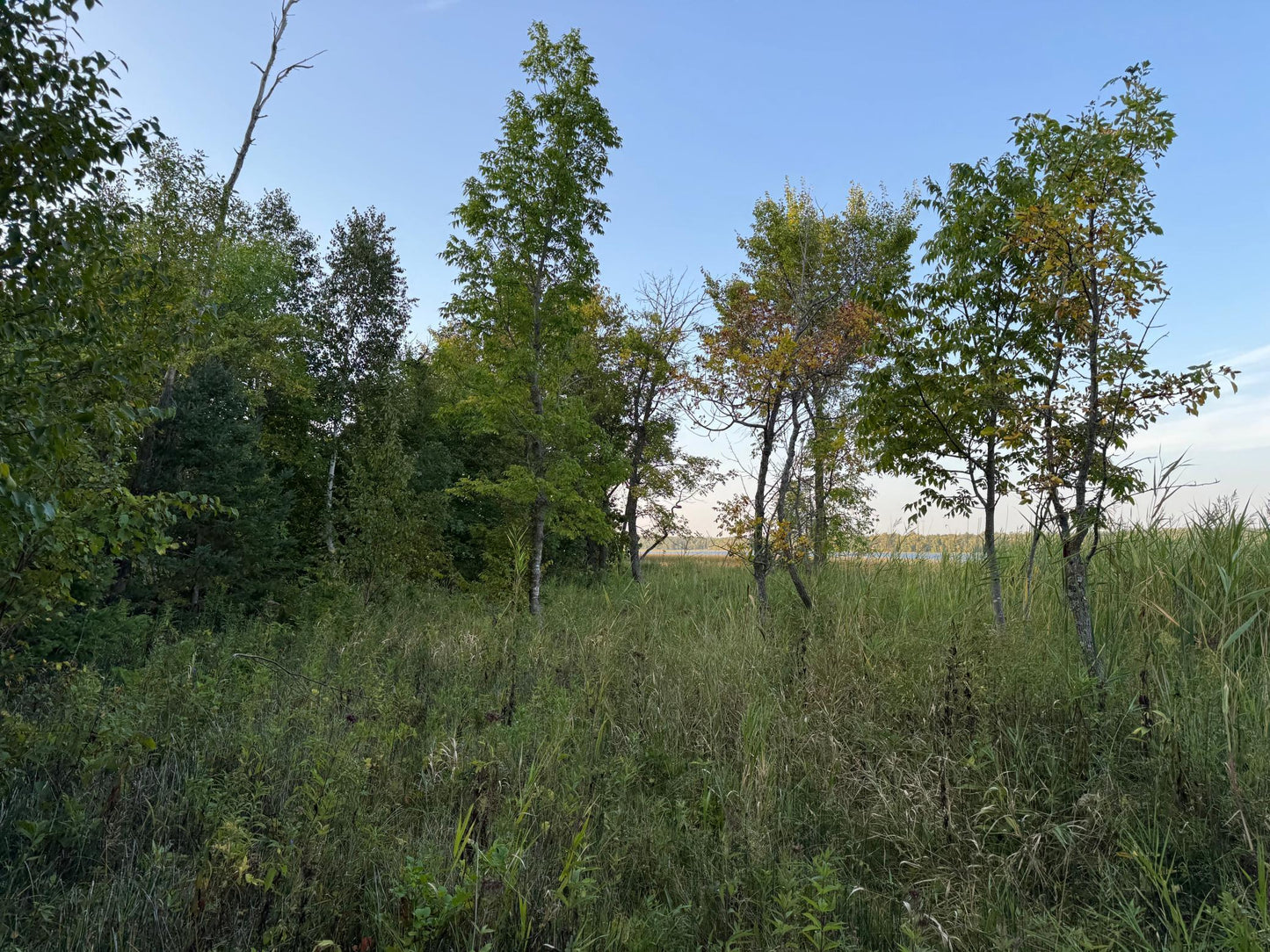 (LOT 4) TBD Rock Lake Road, Rochert, MN 56578