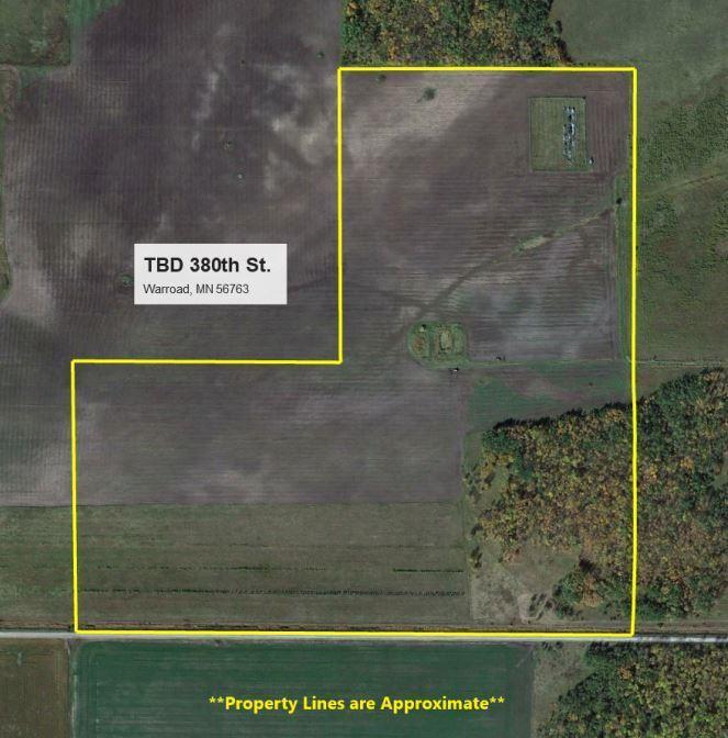 TBD 380th Street, Warroad, MN 56763