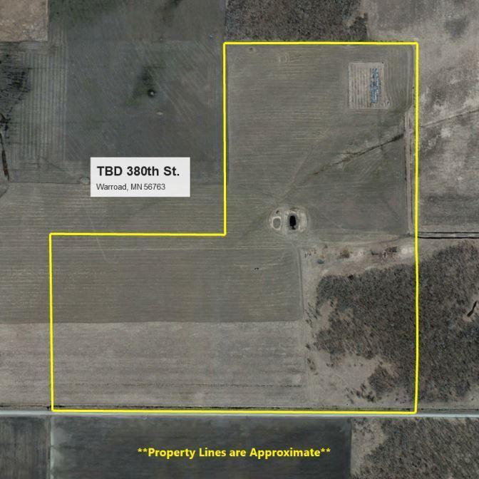 TBD 380th Street, Warroad, MN 56763