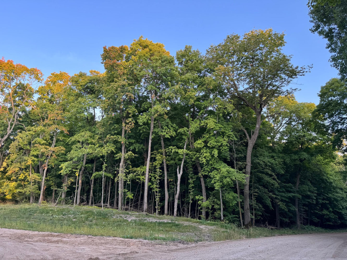 (LOT 4) TBD Rock Lake Road, Rochert, MN 56578