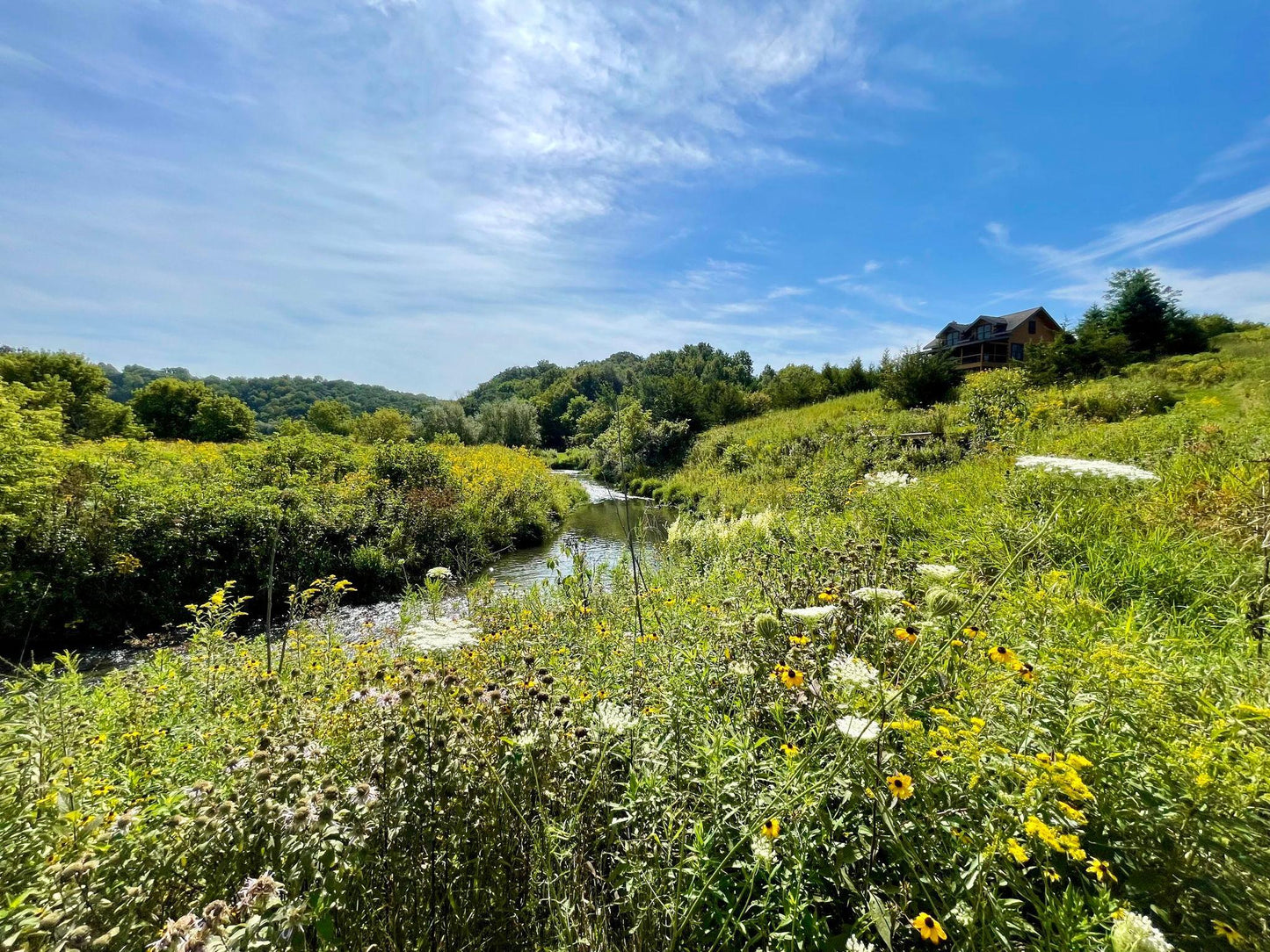 TBD County 8 , Spring Grove Twp, MN 55954