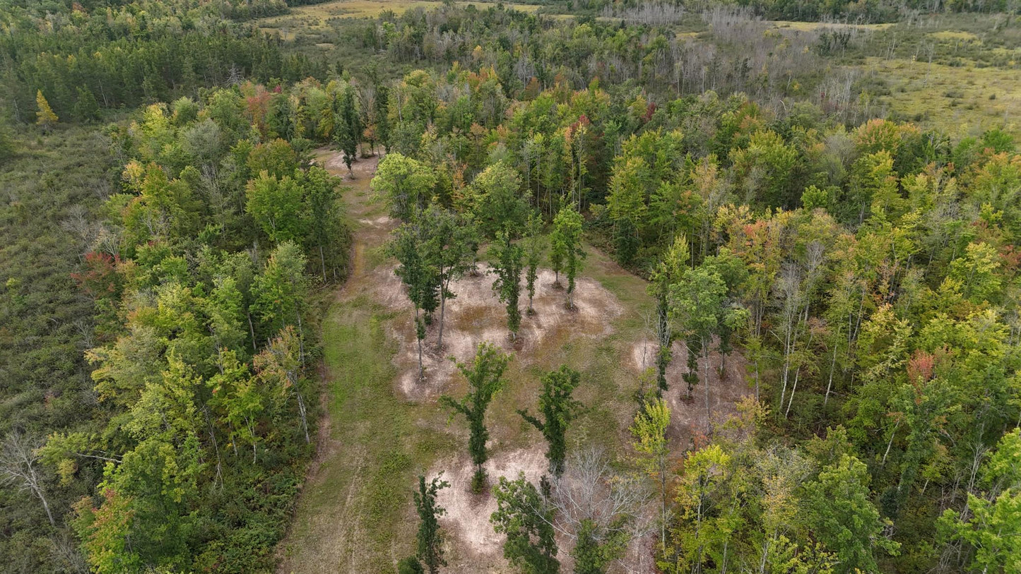 TBD Rainbow Trout Trail , Sandstone, MN 55072