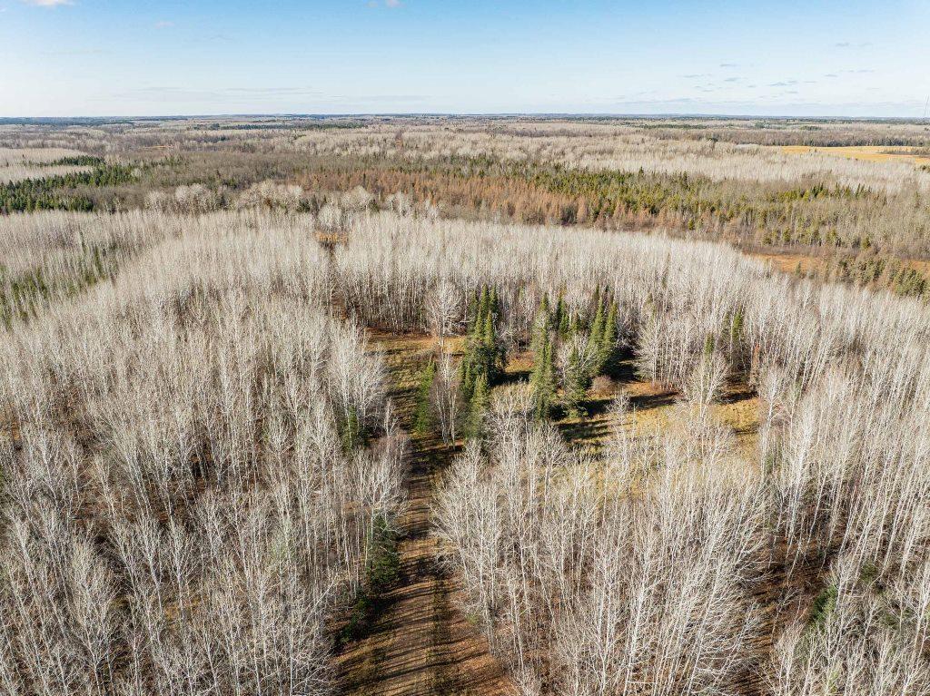 TBD County Rd 60 , Grand Rapids, MN 55744