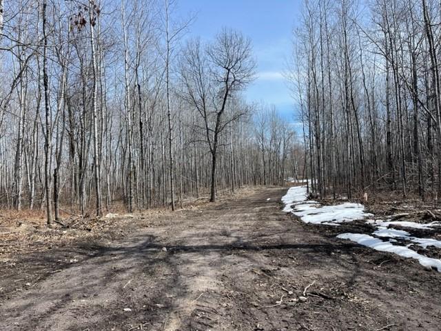 TBD Lot 6 New Paradise Point Drive, Lake George, MN 56458