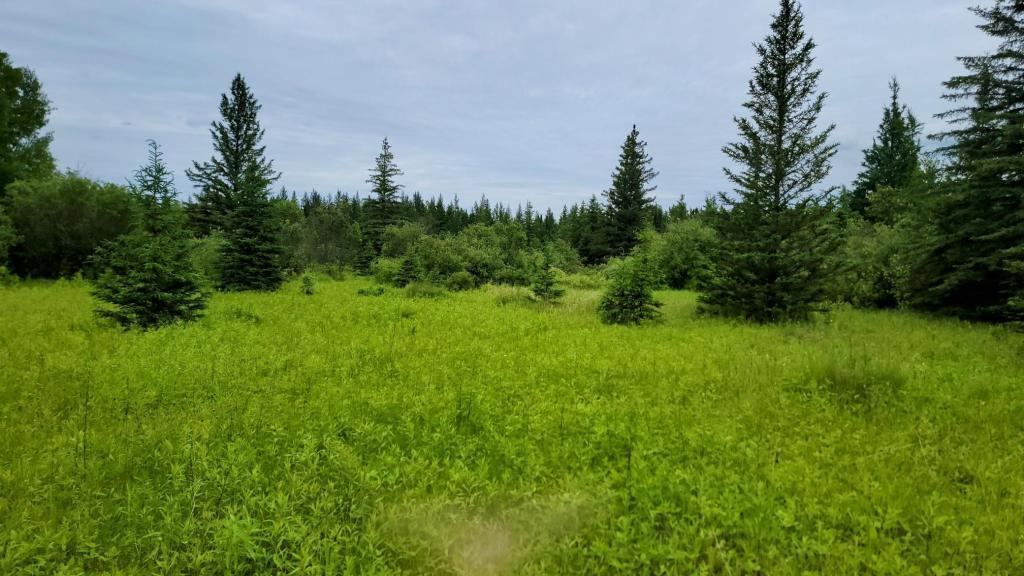 xxx Heino Road, Angora, MN 55703