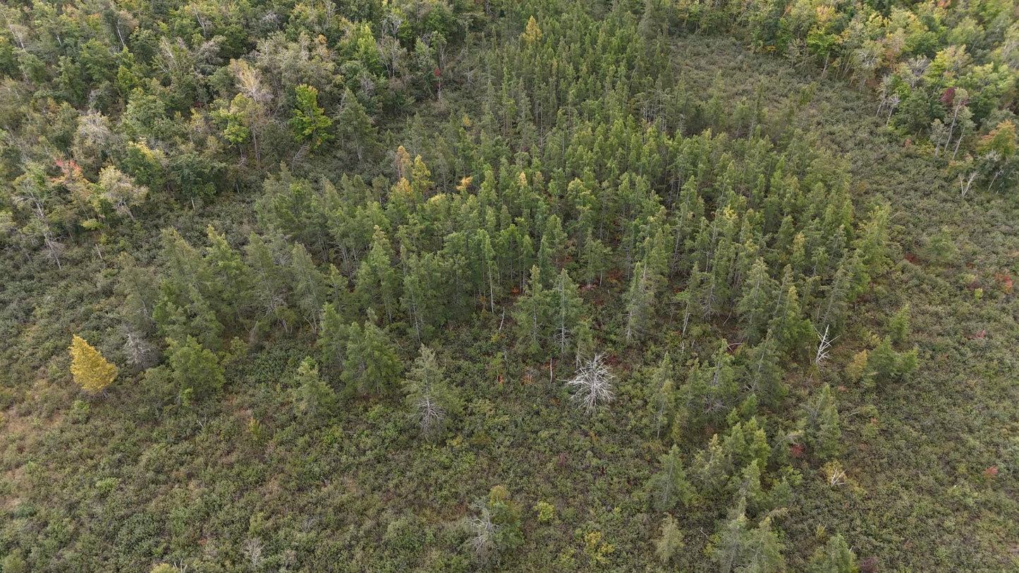 TBD Rainbow Trout Trail , Sandstone, MN 55072