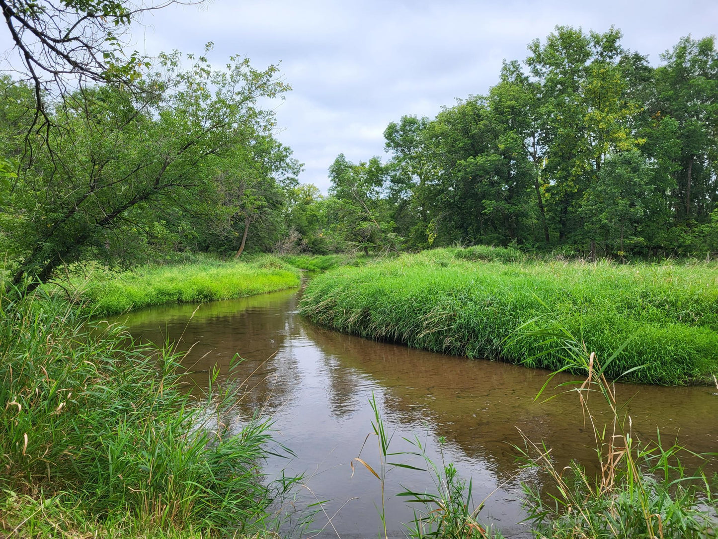 TBD 150th Street, Verndale, MN 56481