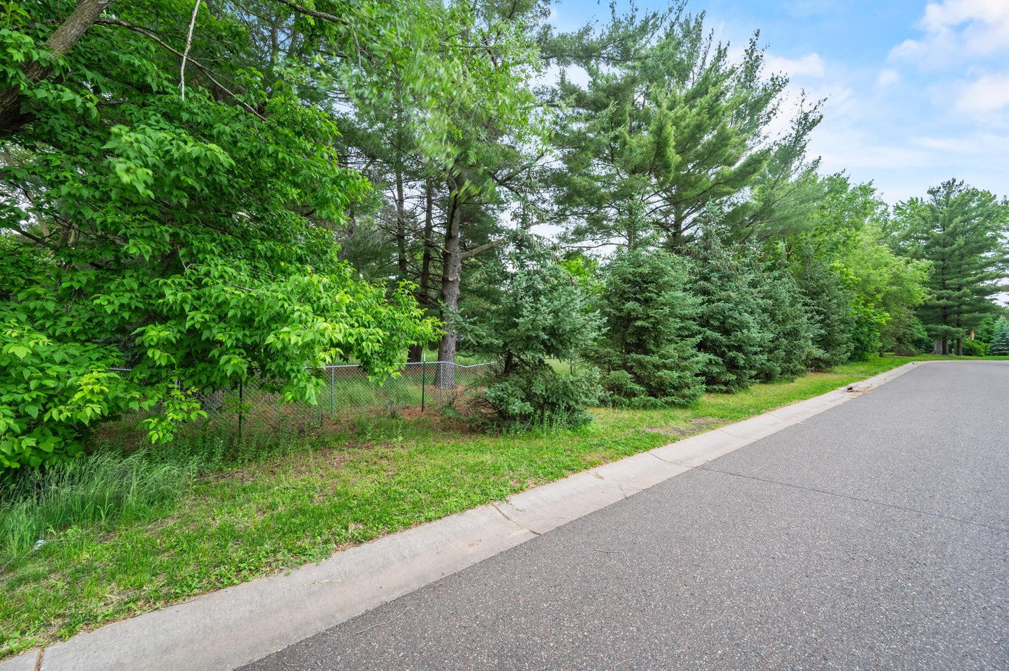 xxx Buffalo Lane, Shoreview, MN 55126