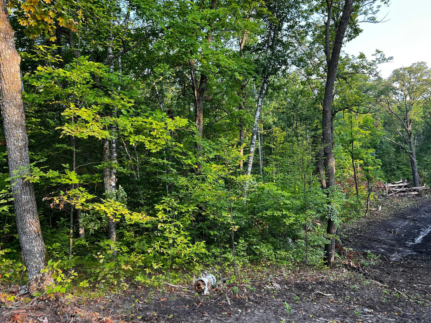 TBD Lot 10 300th Avenue, Island Lake Twp, MN 56651