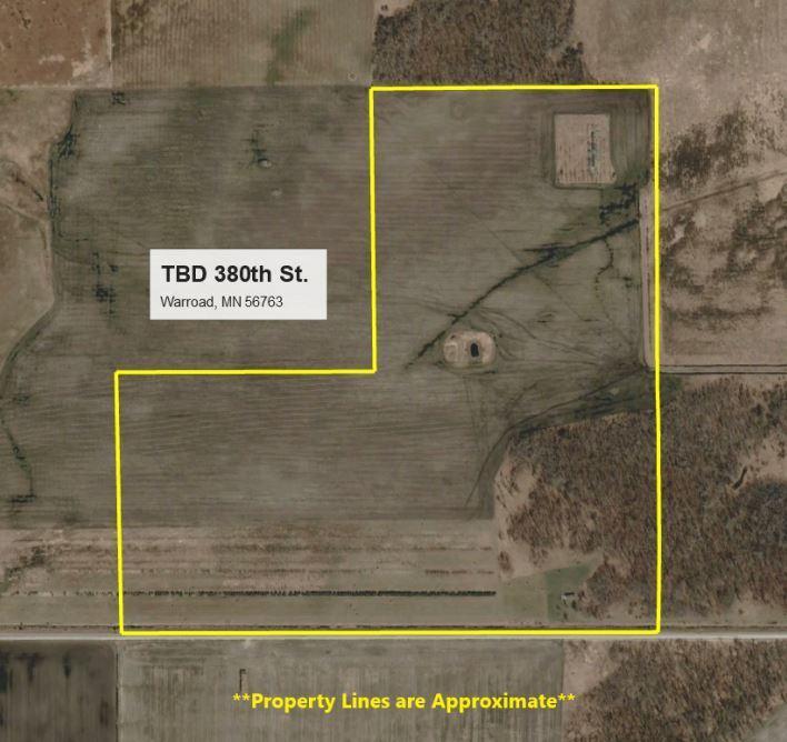 TBD 380th Street, Warroad, MN 56763