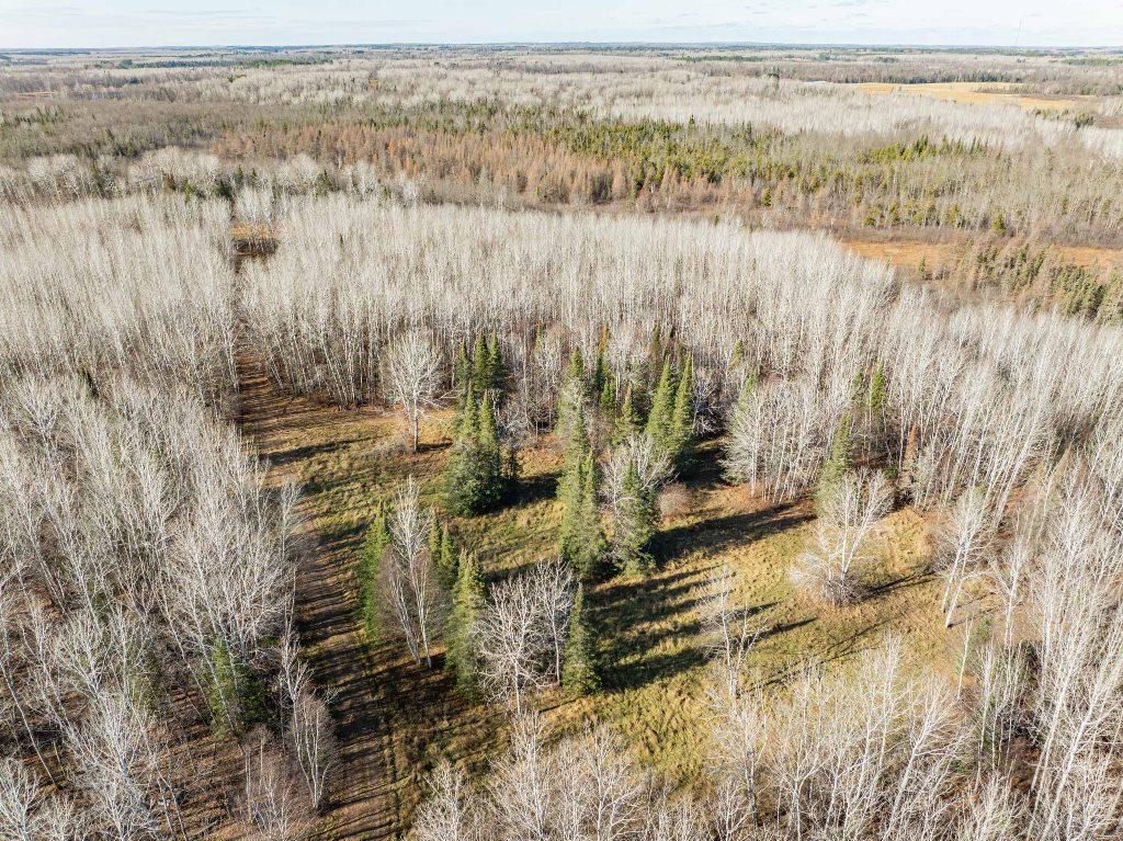 TBD County Rd 60 , Grand Rapids, MN 55744