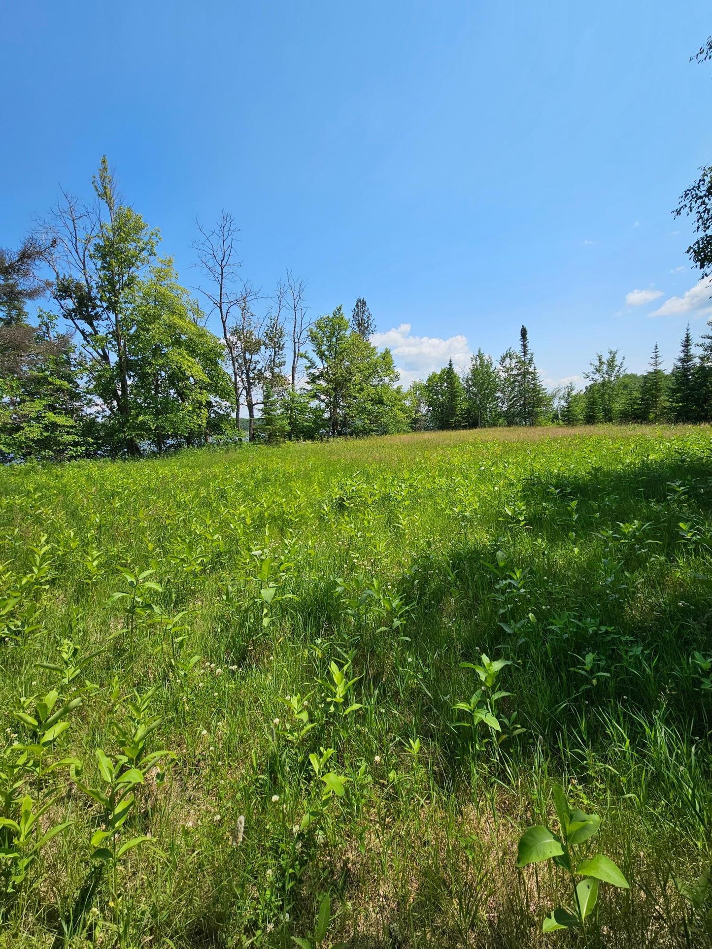 lot6 Hooper Creek Loop , Baudette, MN 56623