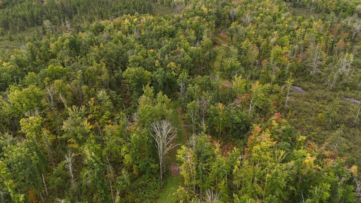 TBD Rainbow Trout Trail , Sandstone, MN 55072