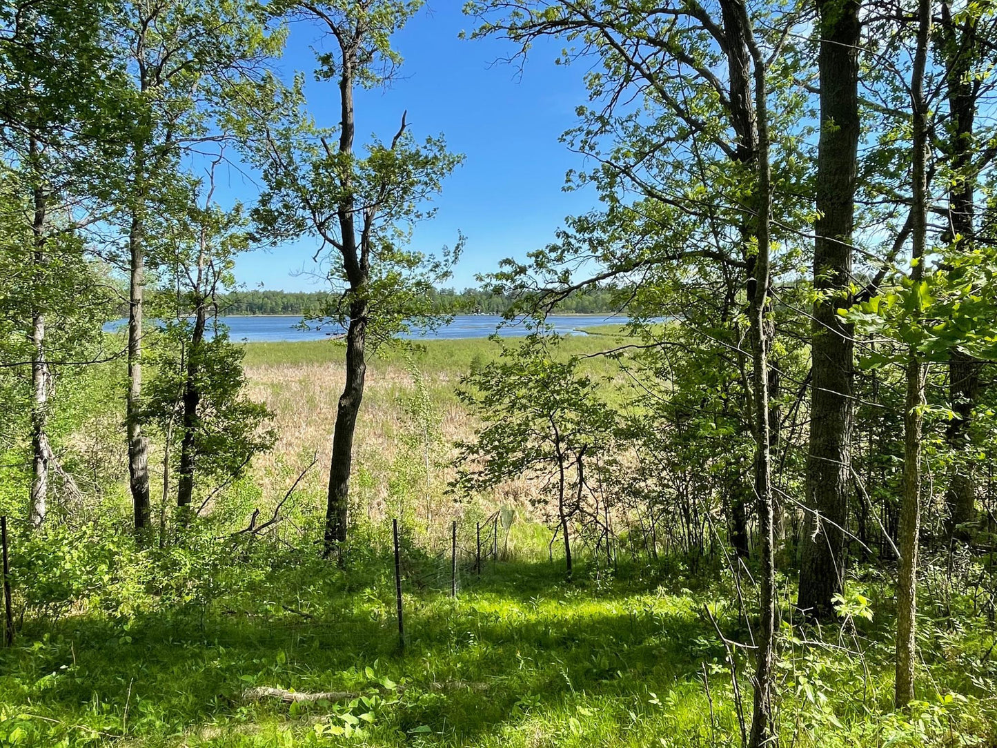 TBD Wedgewood Road, Walker, MN 56484