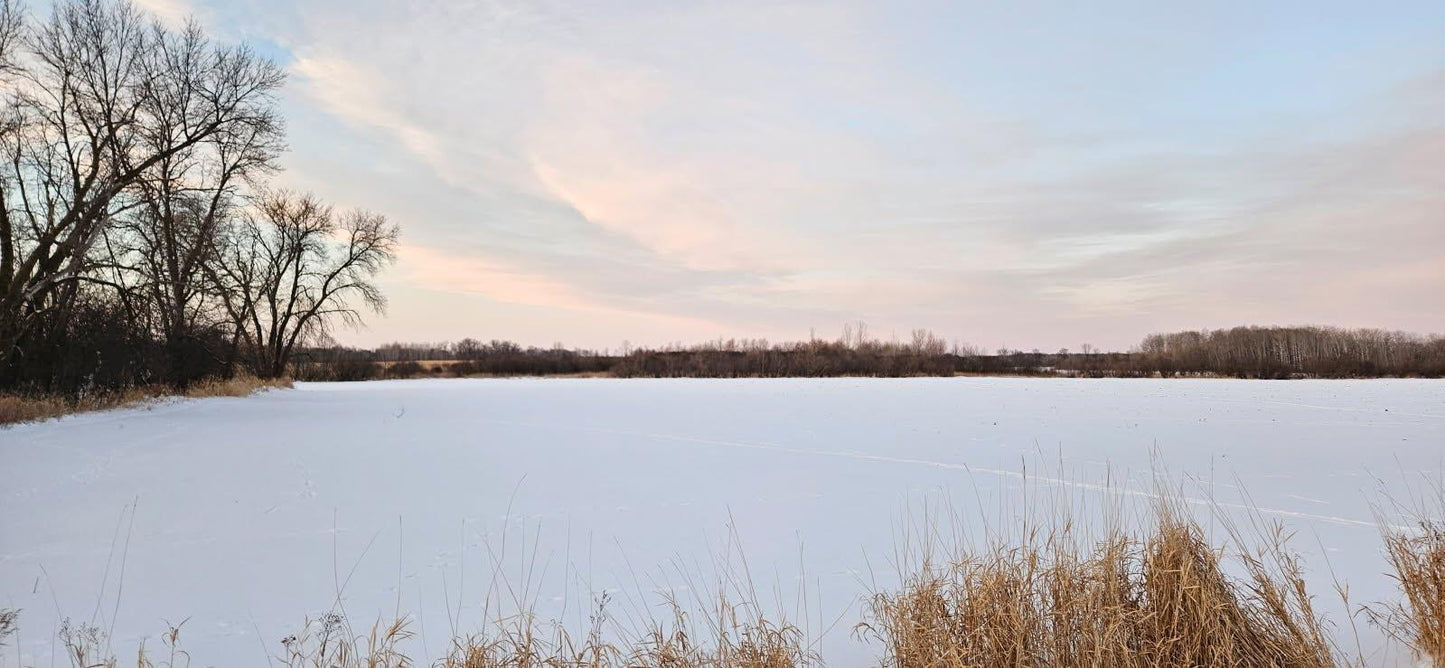 Parcel 2 Willow Road, Carlos, MN 56319