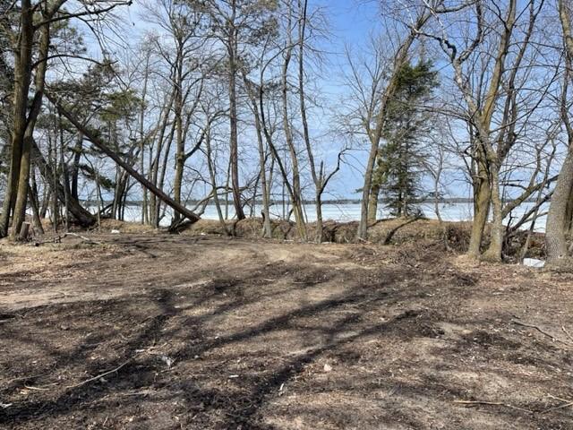 TBD Parcel D New Paradise Point Drive, Lake George, MN 56458