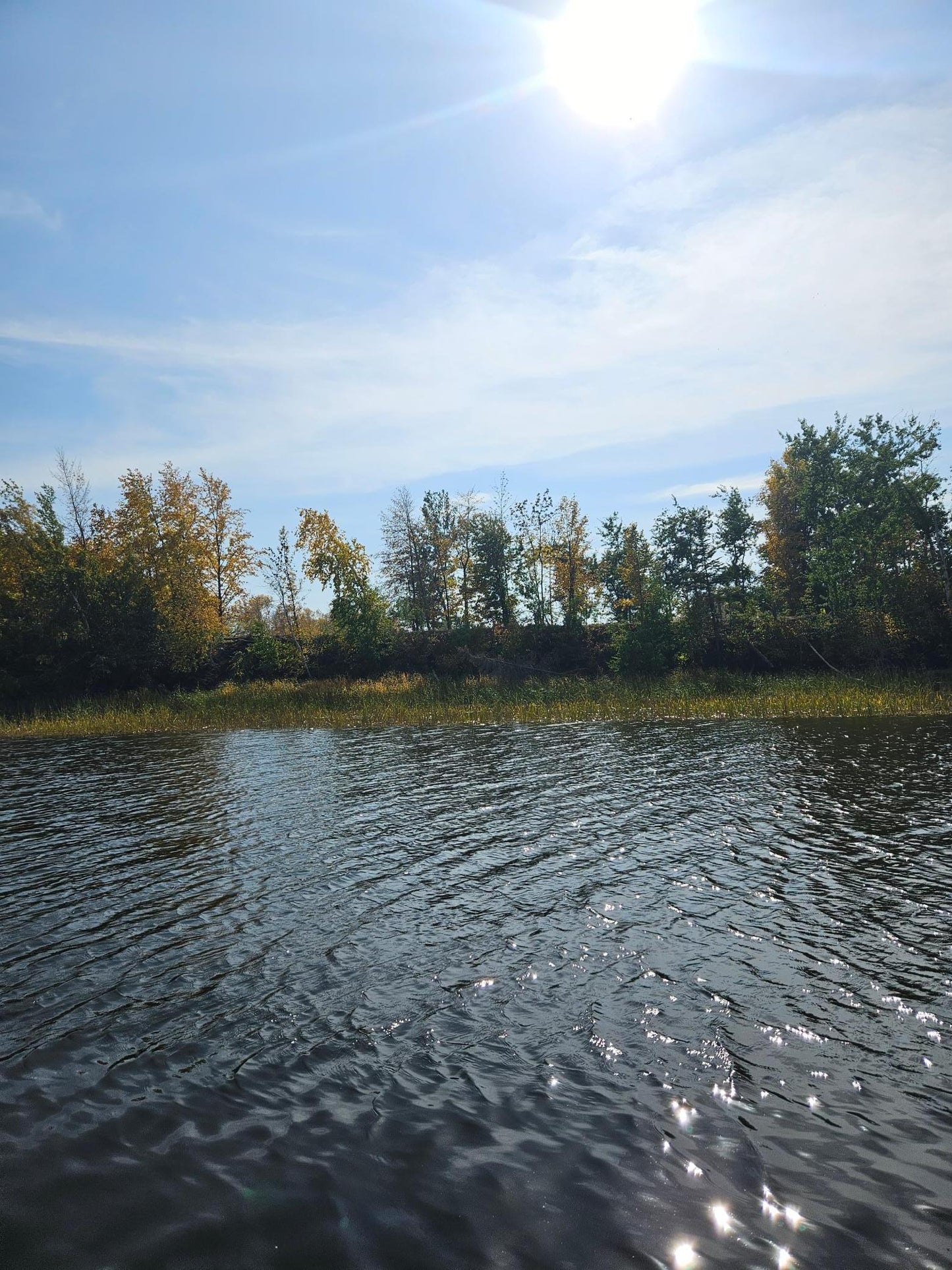 lot6 Hooper Creek Loop , Baudette, MN 56623