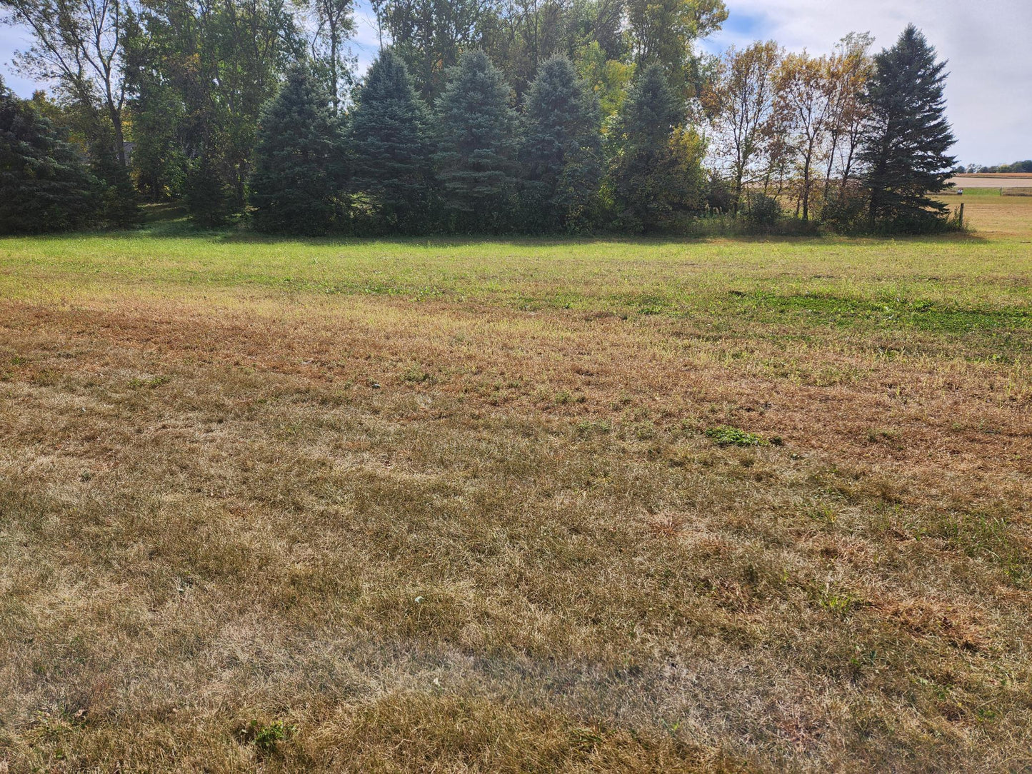 Lot 1 Edgewater Road , Garden City Twp, MN 56055