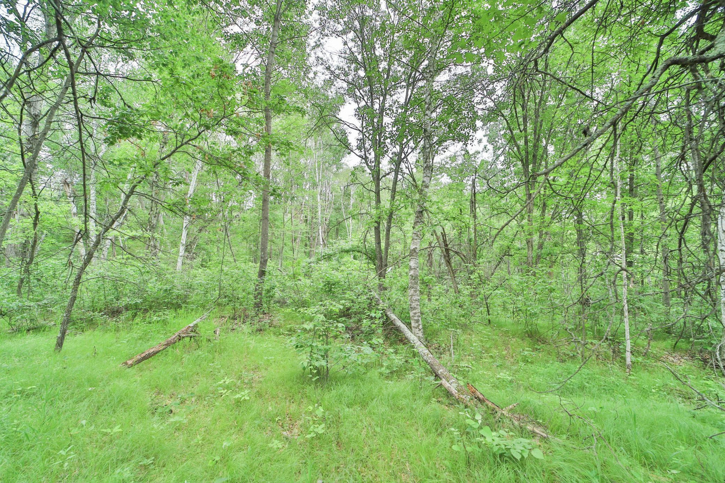 XXX Beaver Dam Road, Brainerd, MN 56401