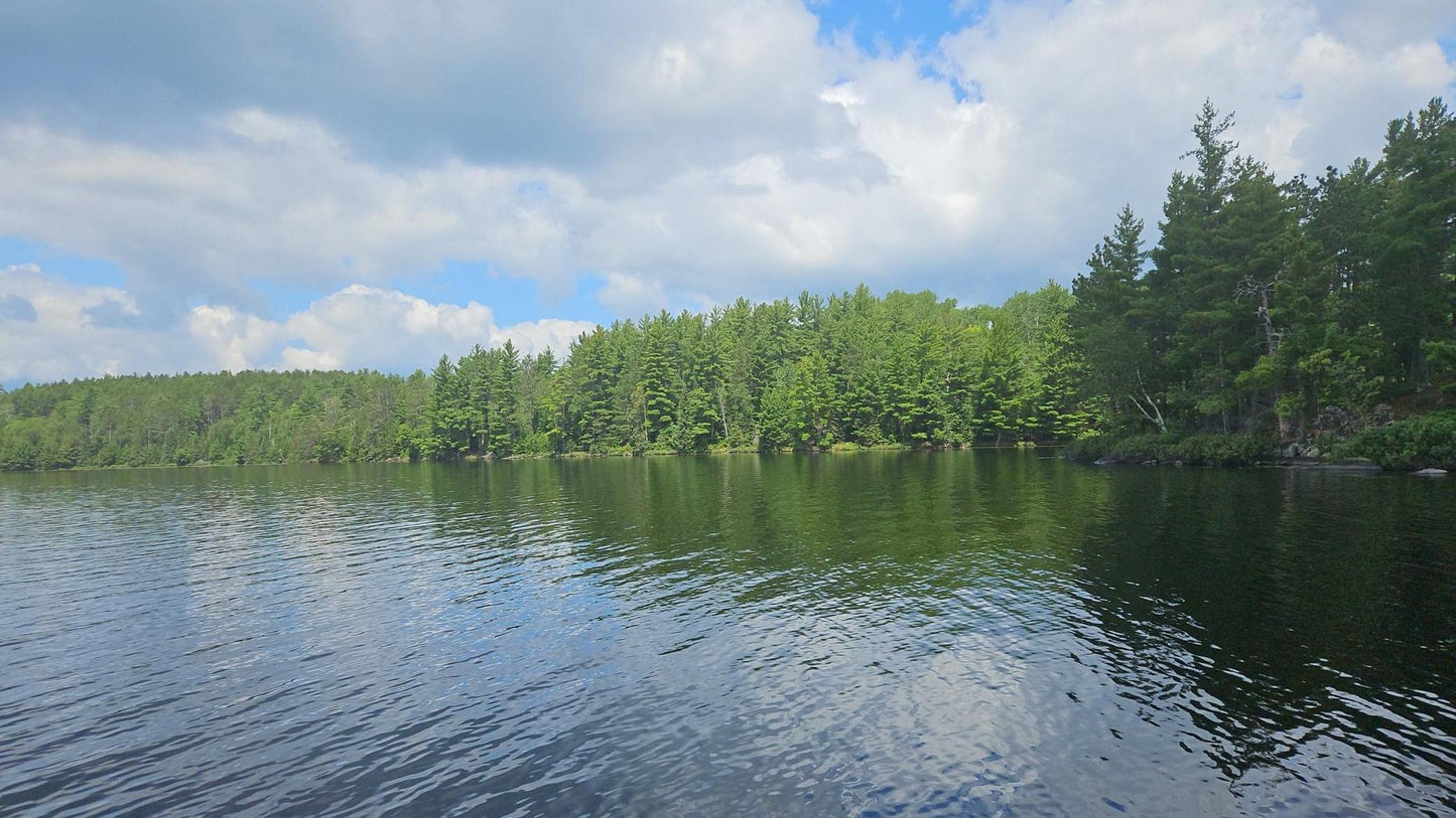 TBD Ban Lake Spur, Orr, MN 55771