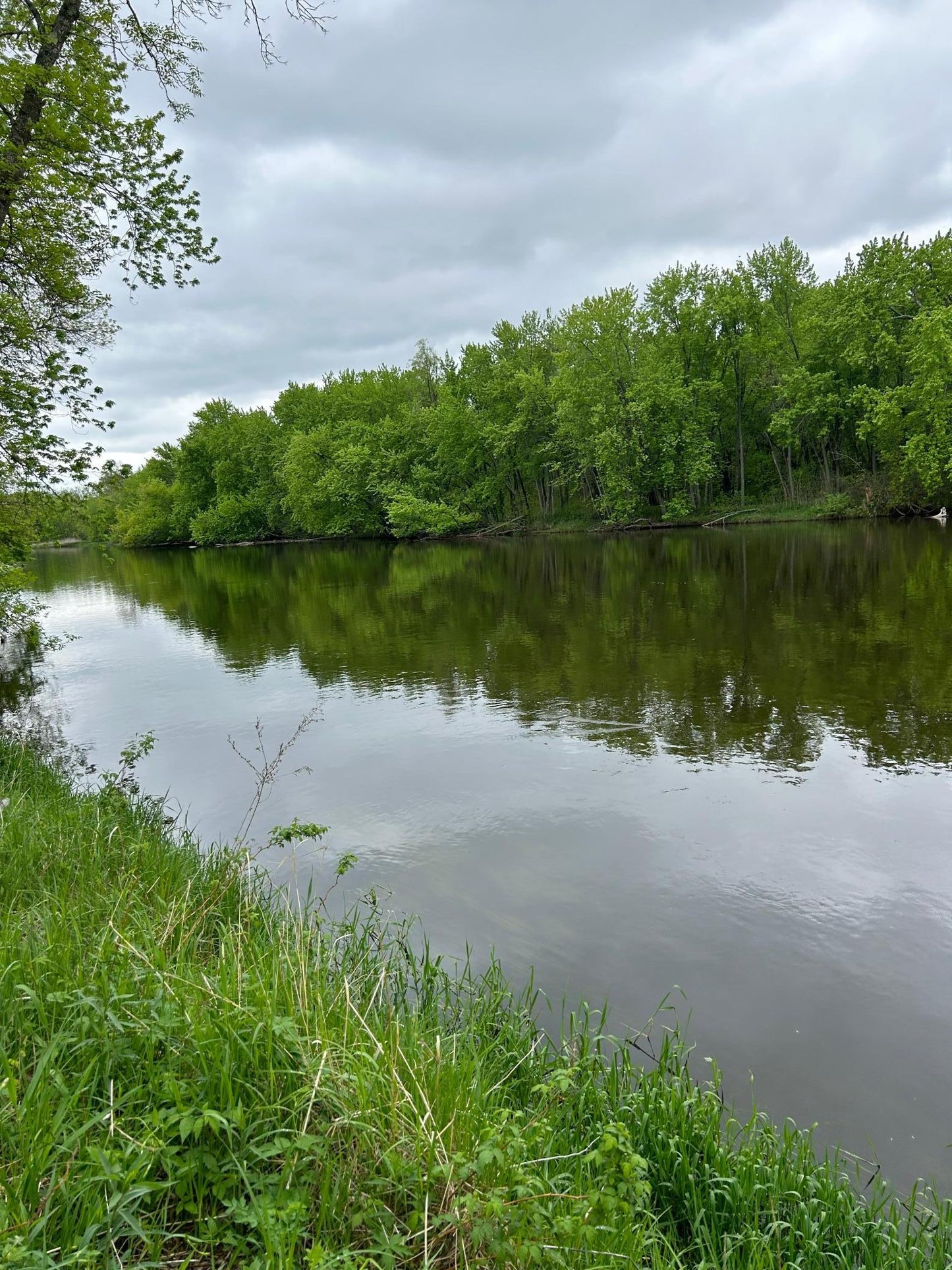 TBD Calico Trail, Motley, MN 56466