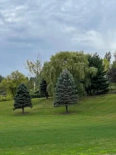 22720 Balsa Circle, Cedar Lake Twp, MN 55372