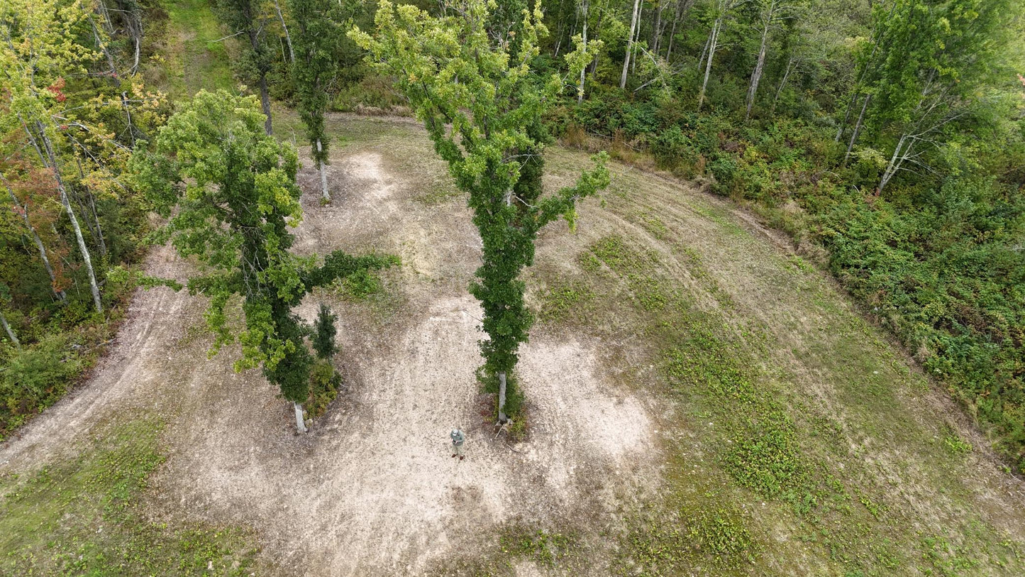 TBD Rainbow Trout Trail , Sandstone, MN 55072