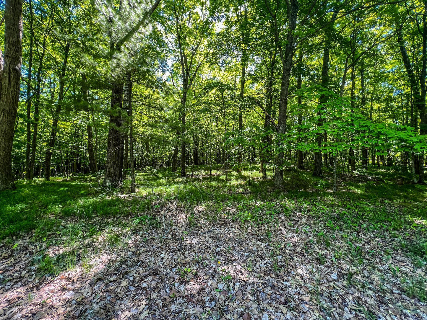 TBD Tract A Damsgaard Road, Bay Lake Twp, MN 56444