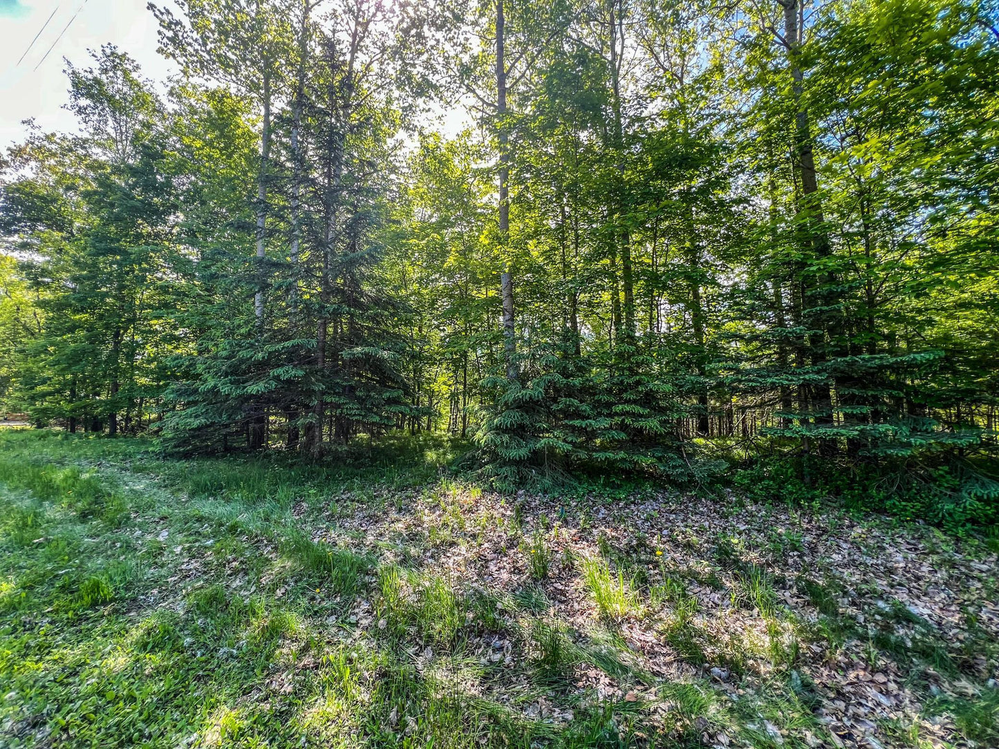 TBD Tract D Damsgaard Road, Bay Lake Twp, MN 56444