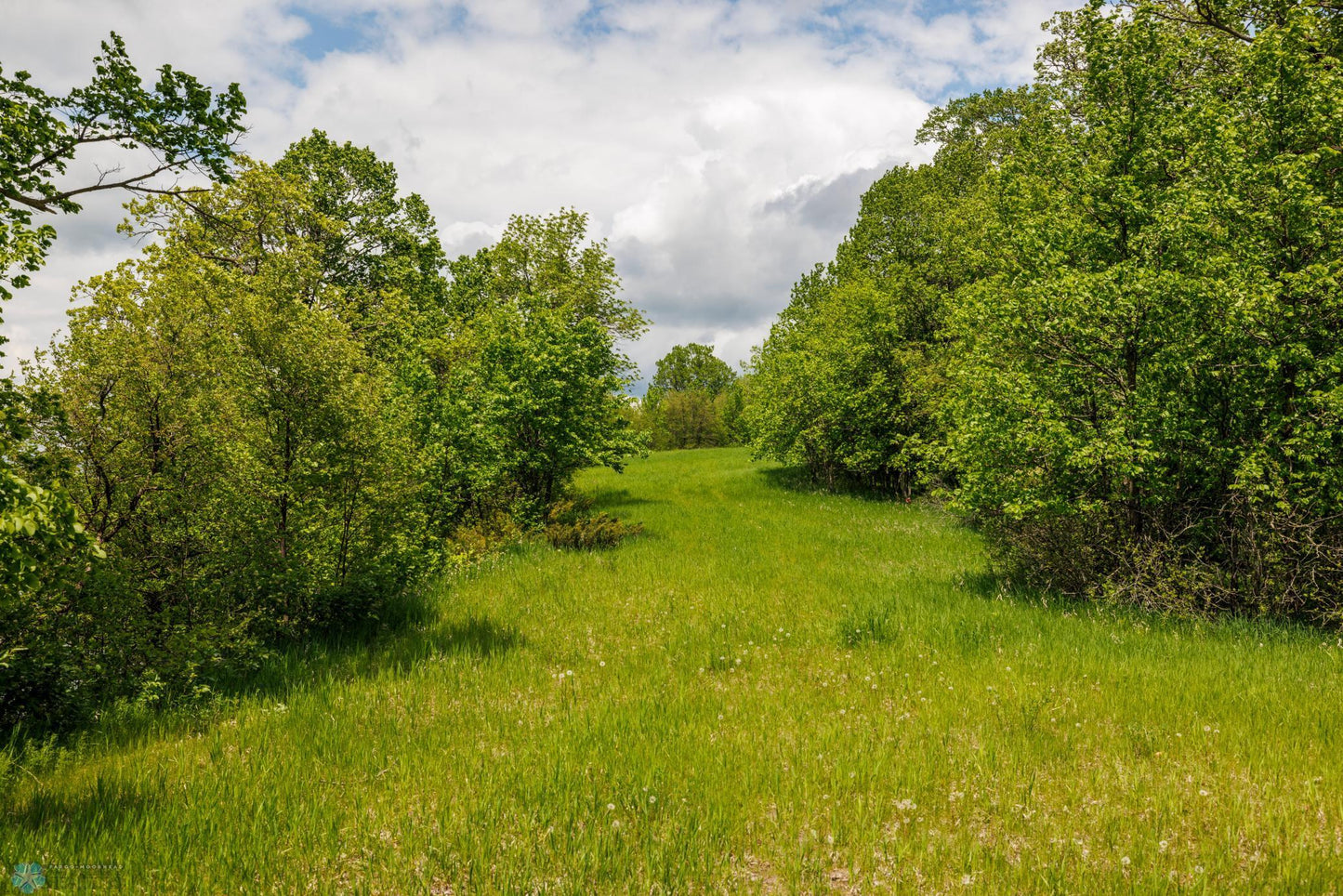 TBD Wrigley Circle, Dora Twp, MN 56587