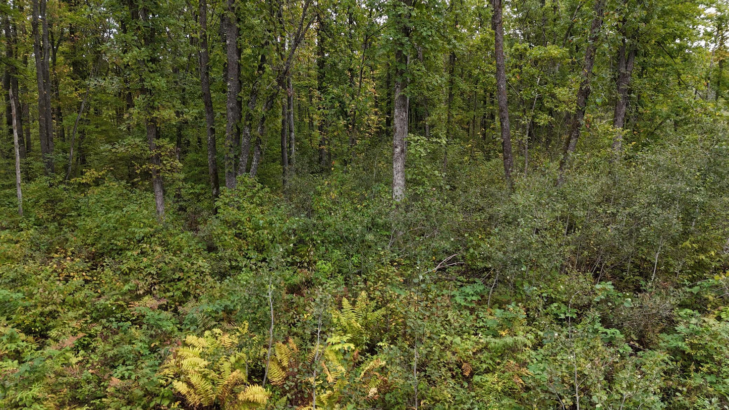 TBD Rainbow Trout Trail , Sandstone, MN 55072