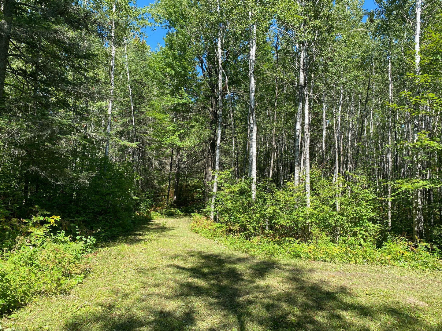 TBD Buck Dr. , Bovey, MN 55709