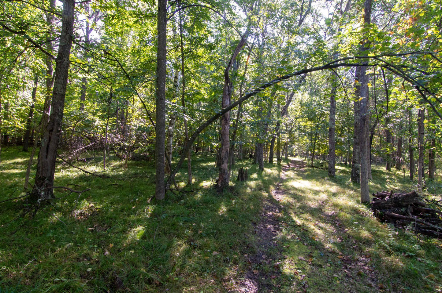 TBD Deacons Way, Pequot Lakes, MN 56472