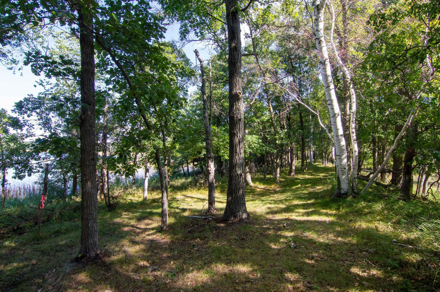 TBD Deacons Way, Pequot Lakes, MN 56472