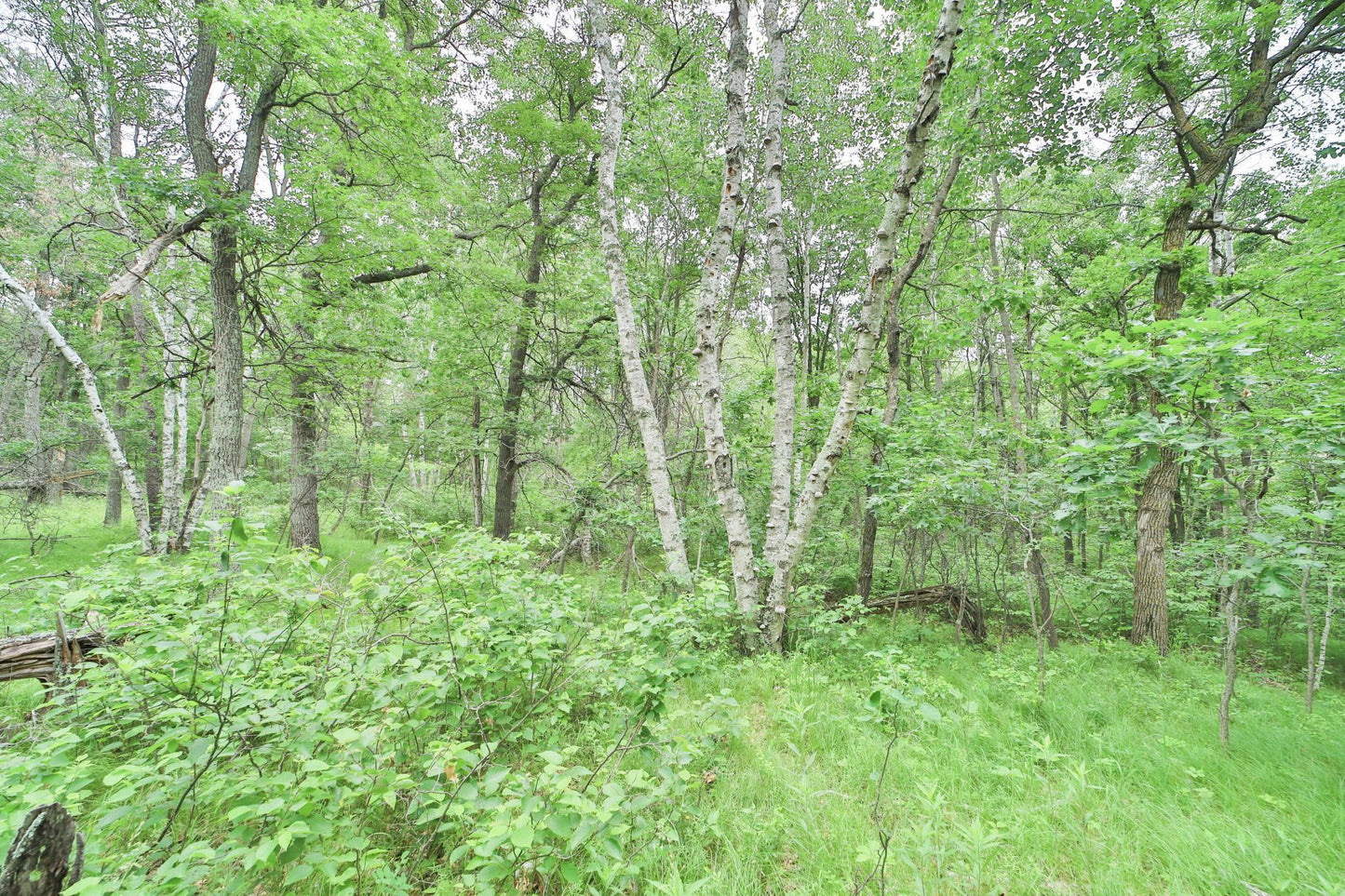 XXX Beaver Dam Road, Brainerd, MN 56401