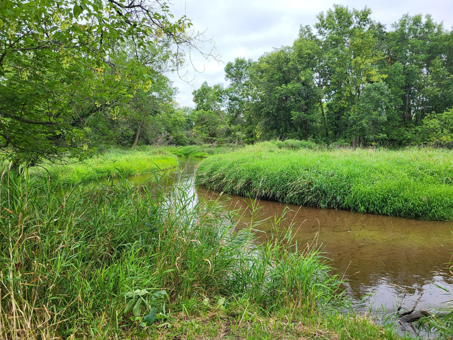 TBD 150th Street, Verndale, MN 56481