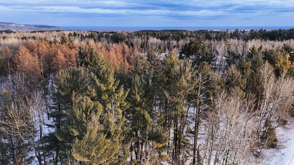 xx Larson Road, Thomson Twp, MN 55733