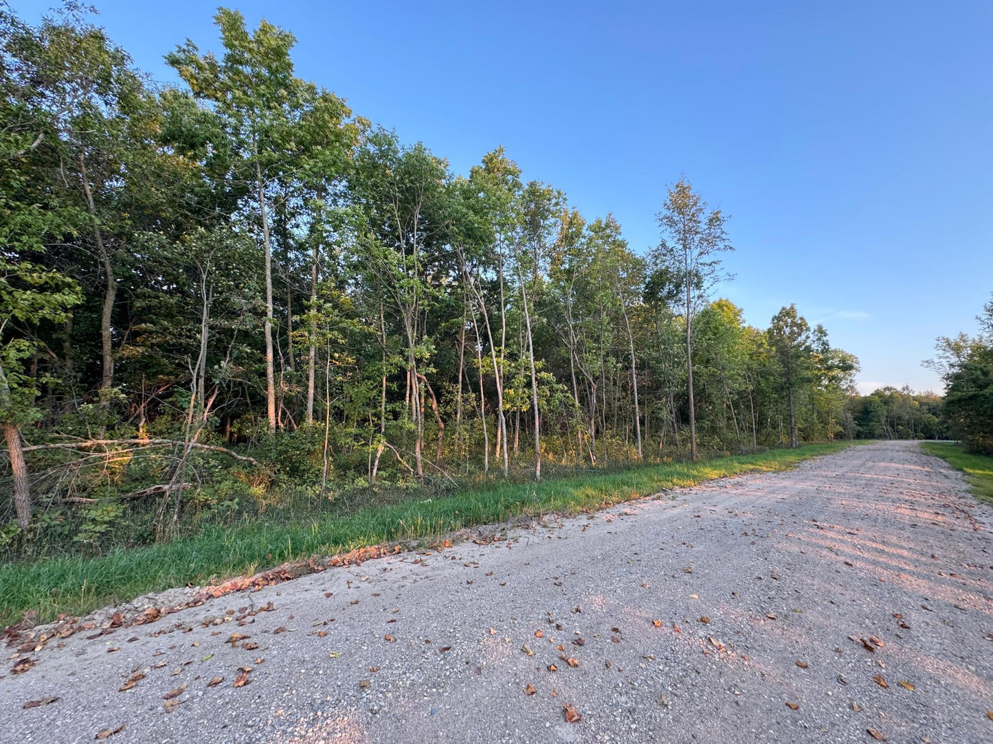 (LOT B) TBD Rock Lake Road, Rochert, MN 56578