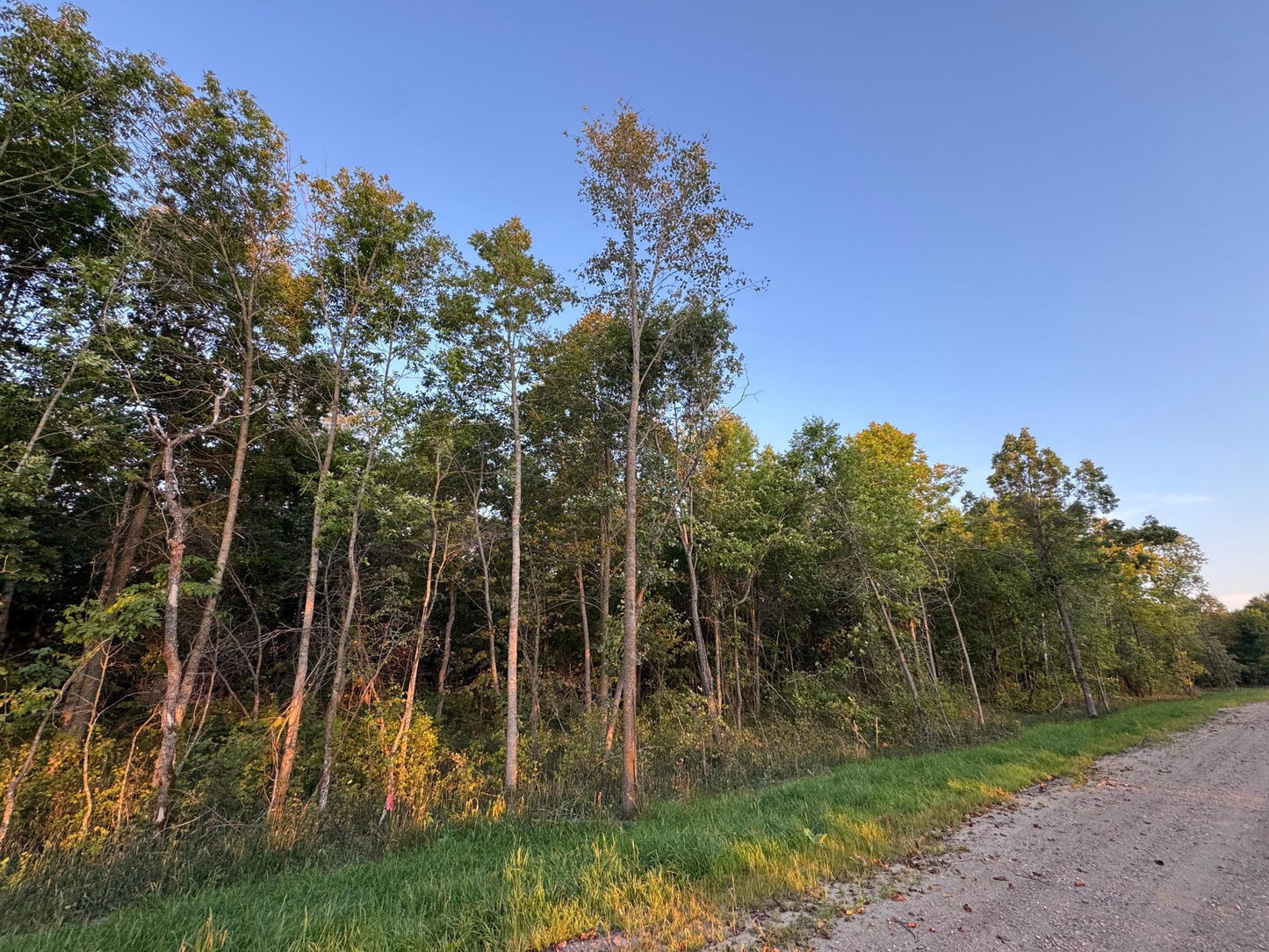 (LOT 2) TBD Rock Lake Road, Rochert, MN 56578