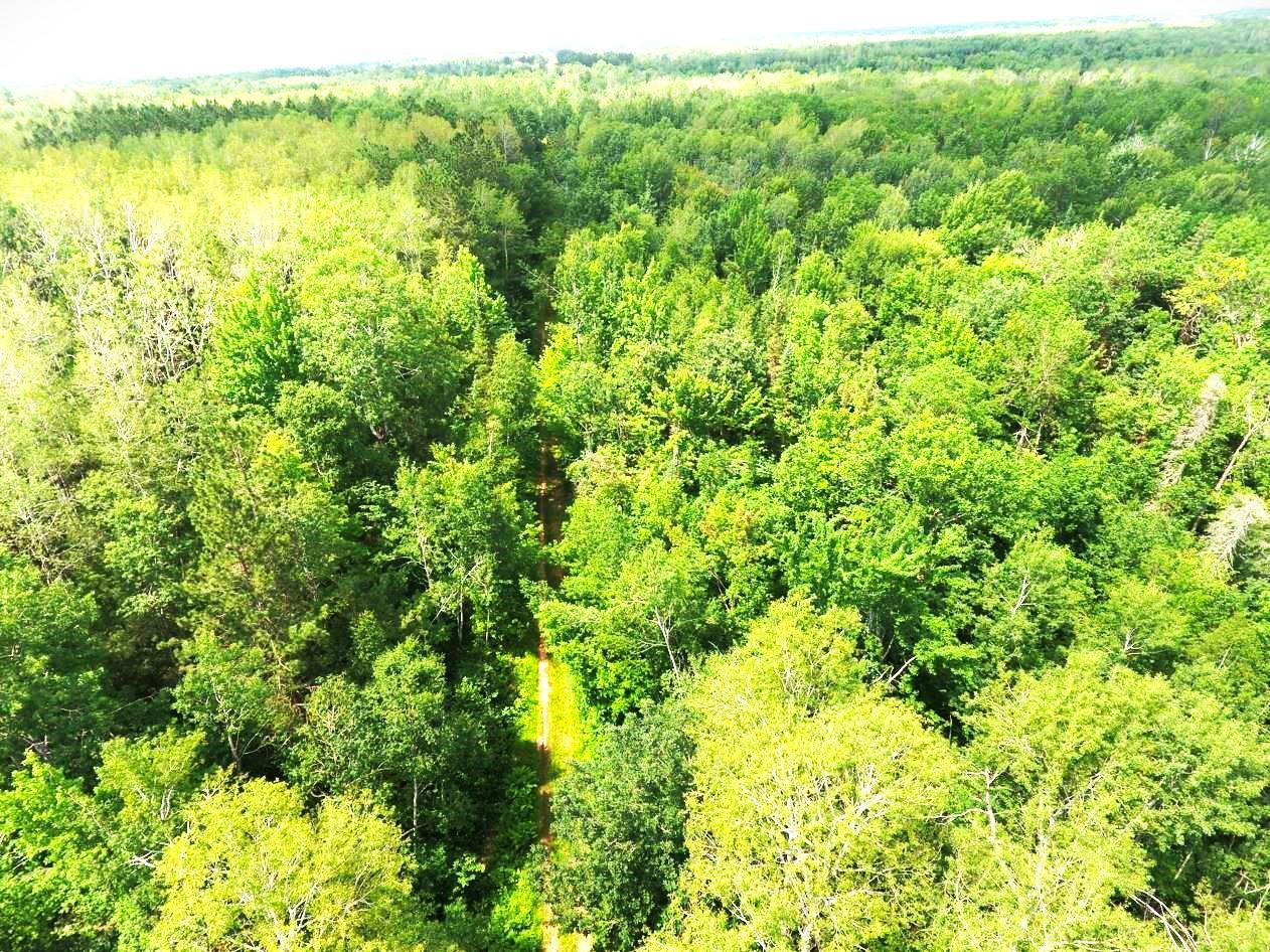 XX40 acres W Center Road , Clear Creek Unorg. Terr., MN 55707