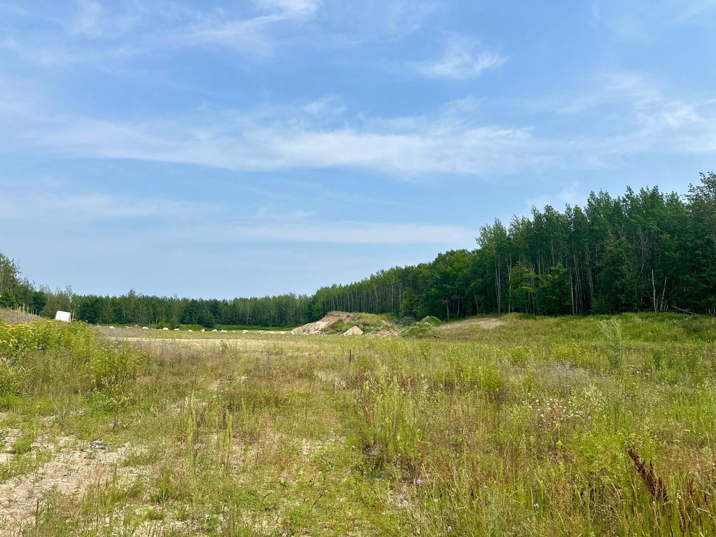 TBD-Lot 8 Ottertail Road, Walker, MN 56484