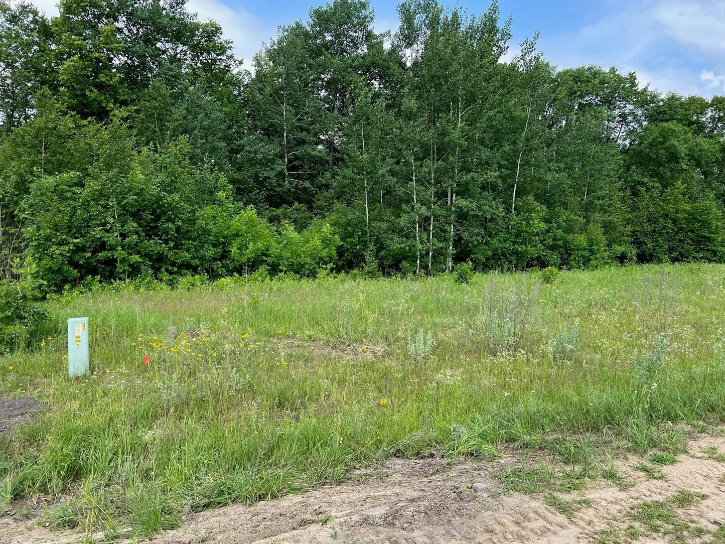 Lot 4 Tango Drive, Helga Twp, MN 56601