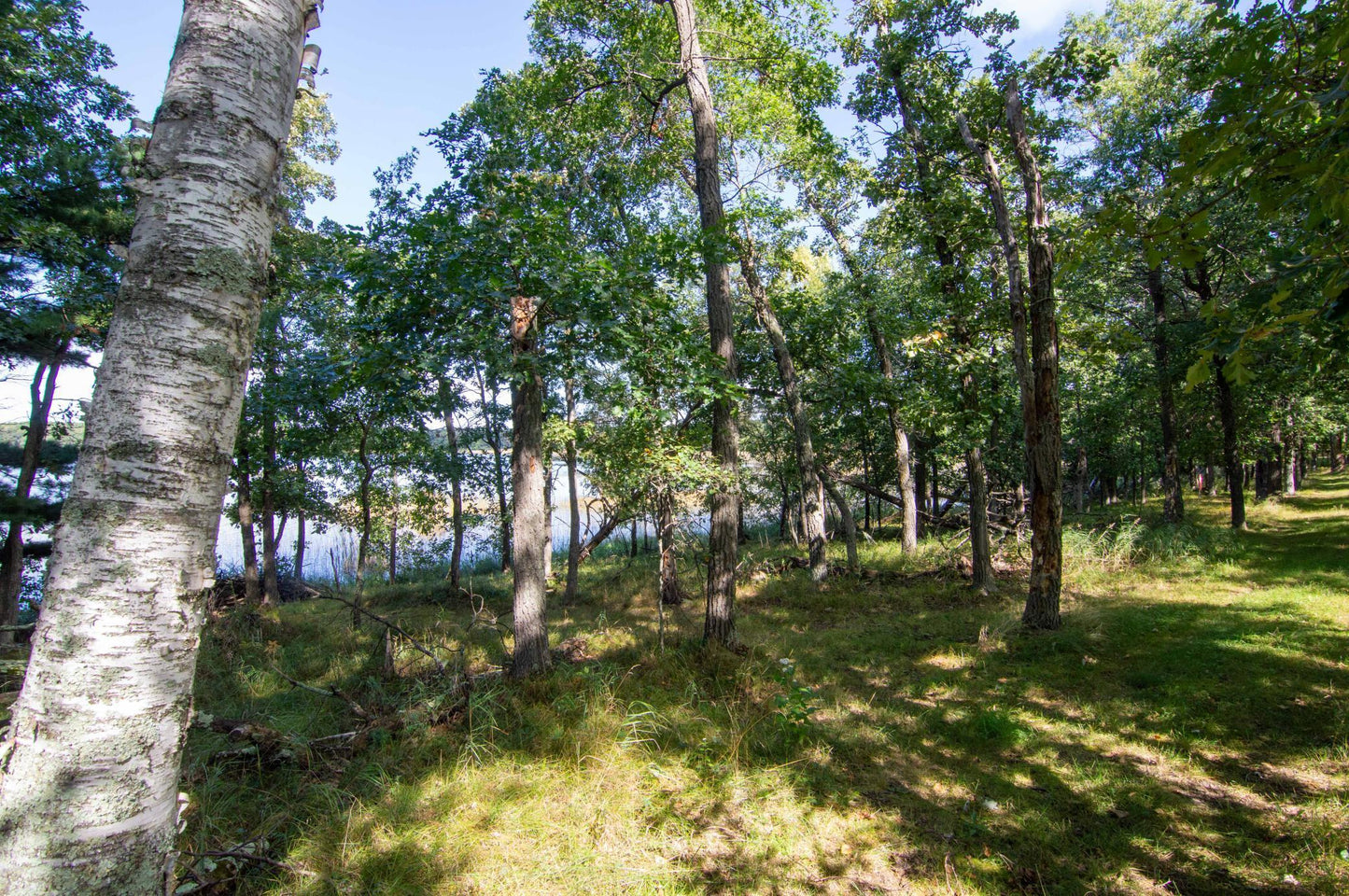 TBD Deacons Way, Pequot Lakes, MN 56472