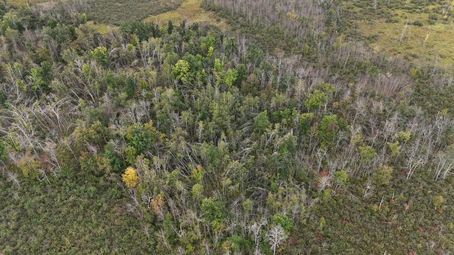 TBD Rainbow Trout Trail , Sandstone, MN 55072